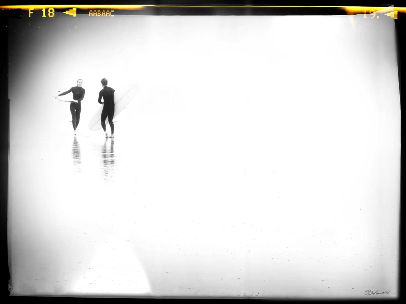 Mouvement & contraste